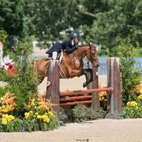 Student equestrian rider jumping her horse over an obstacle.