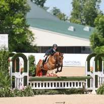 Student equestrian rider jumping her horse over an obstacle.