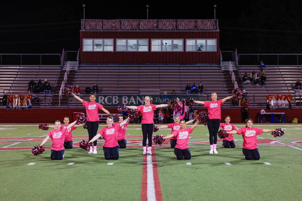 Zebra Dance performs in pink shirts during Pink Out.