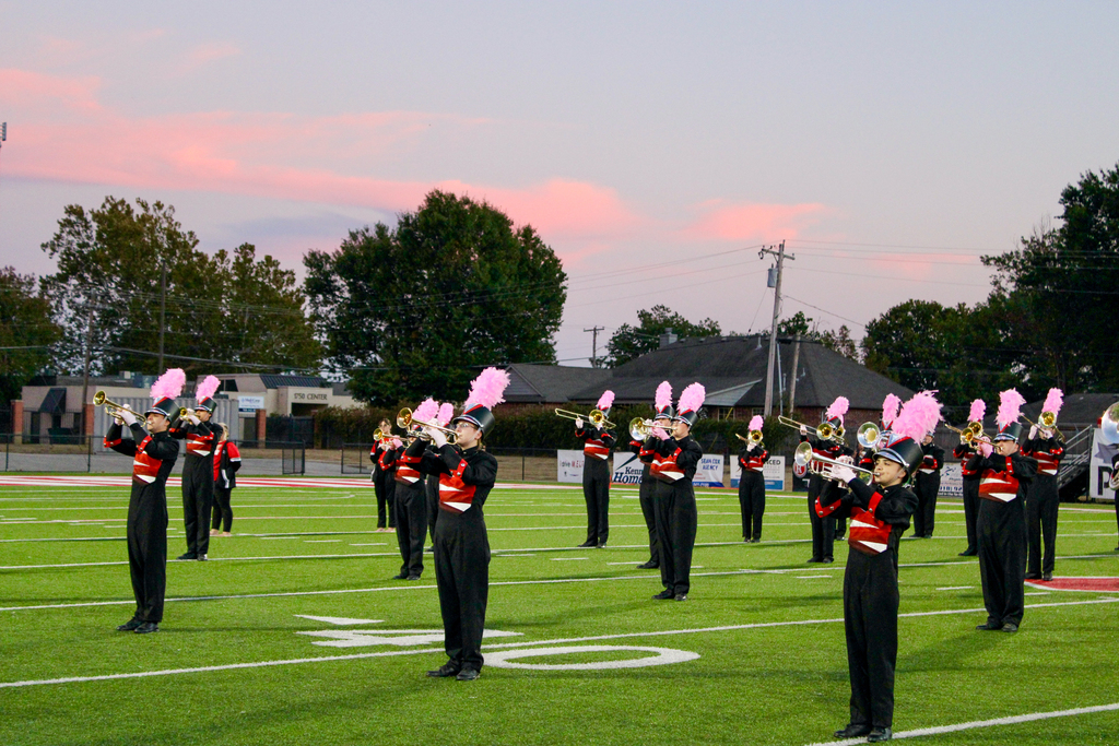 Zebra Band performs with pink plumes during Pink Out.
