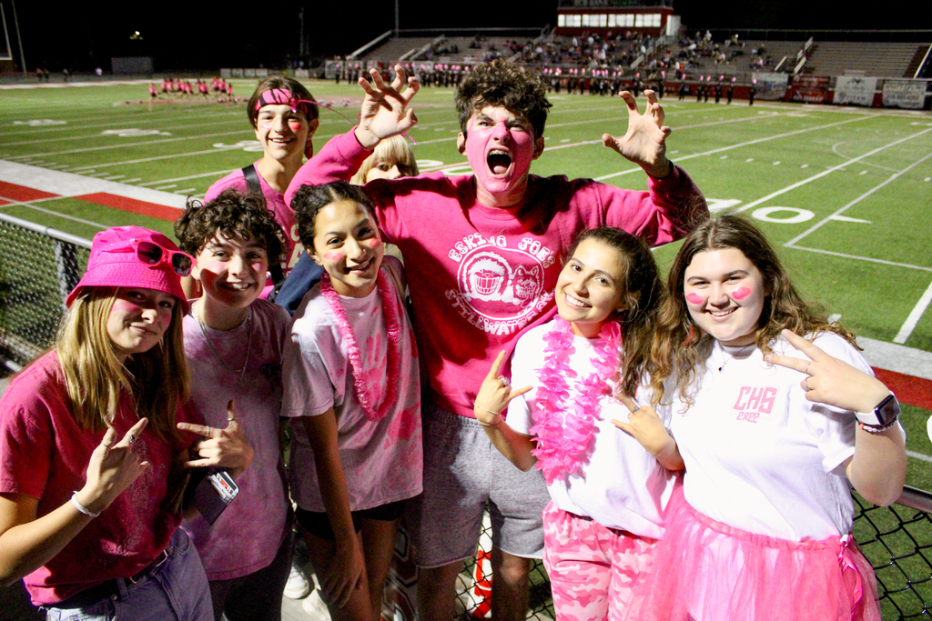 Student Section dressed in pink pose together at Lantow Field during Pink Out.