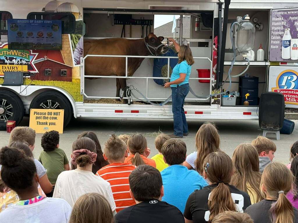 Students watch a dairy farming demonstration with Cheryl the Cow.