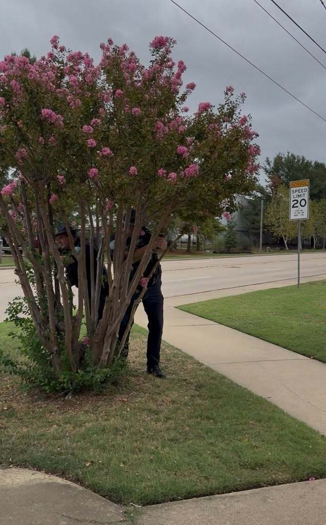 A Claremore SRO hides behind a tree near a school zone speed limit sign.