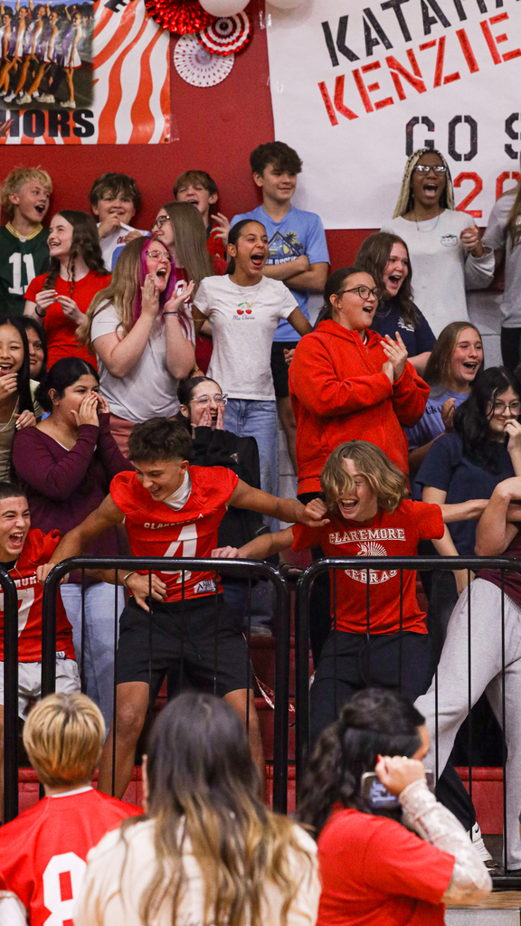 WRJH students cheer from the stands during the Homecoming assembly.