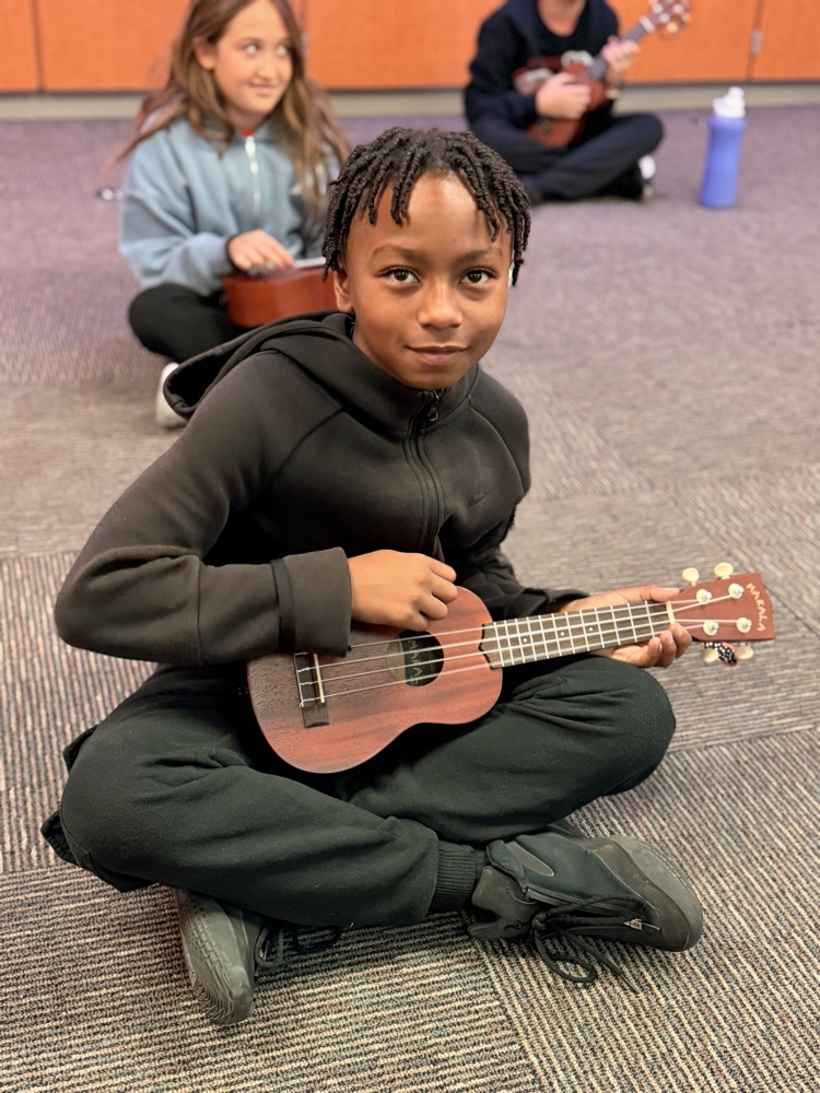 ukulele fun