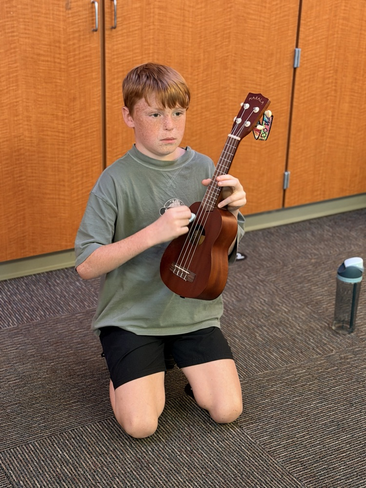 ukulele fun
