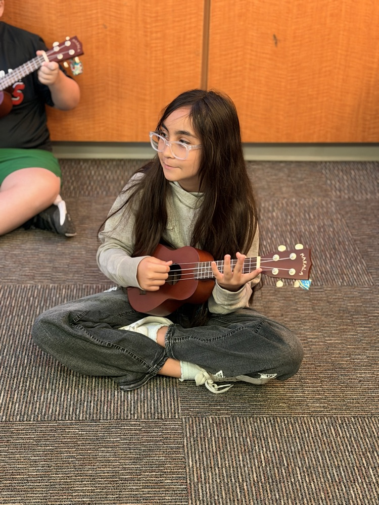 ukulele fun