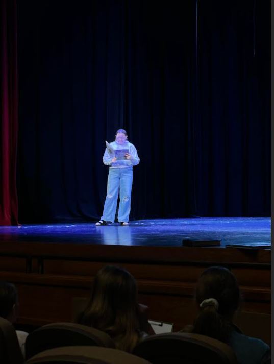 DRAMA PERFORMANCE
