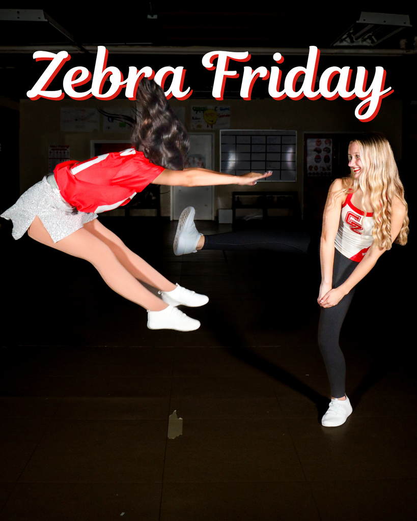 Dance member pretending to karate kick another on a Zebra Friday graphic.