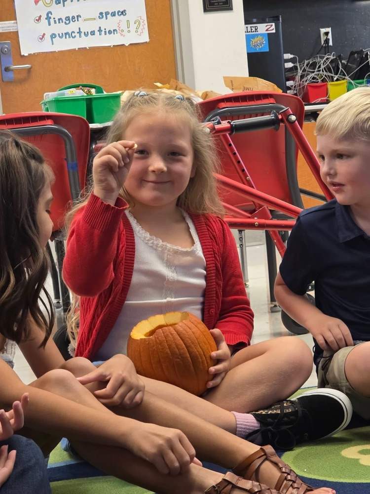 pumpkin fun