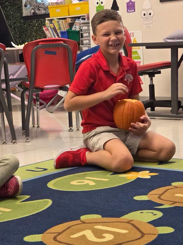 pumpkin fun