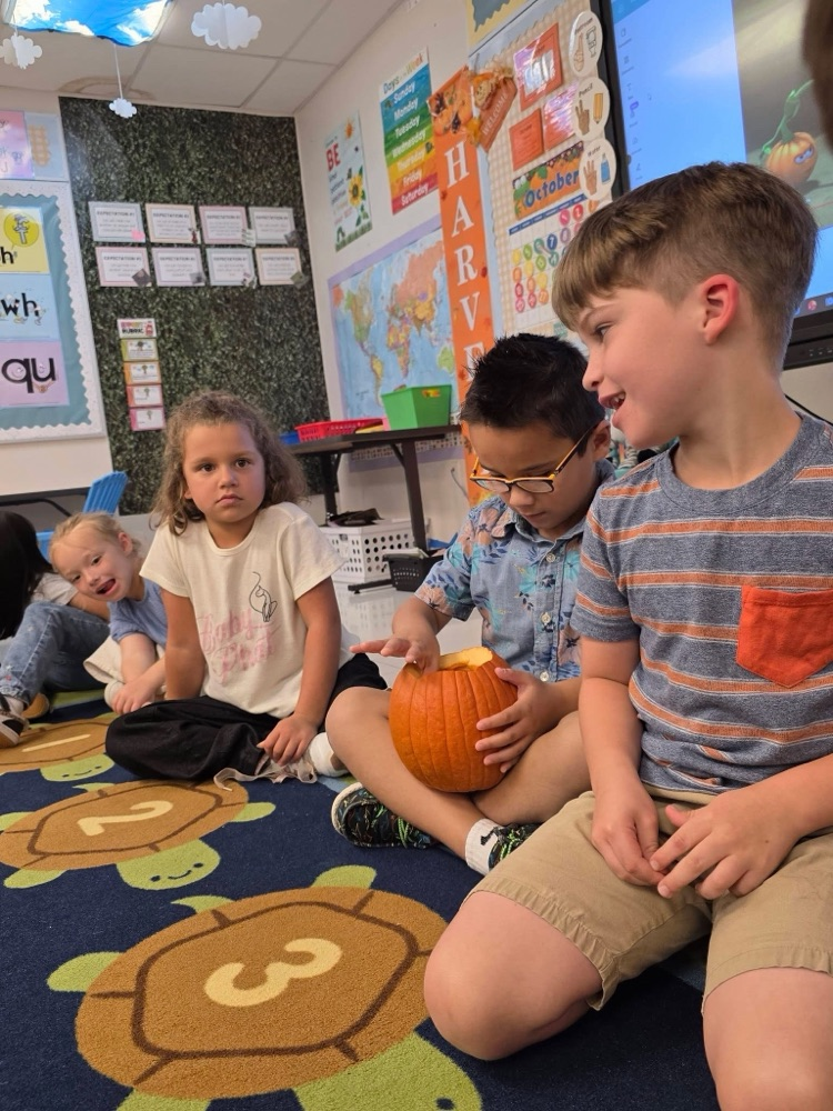 pumpkin fun