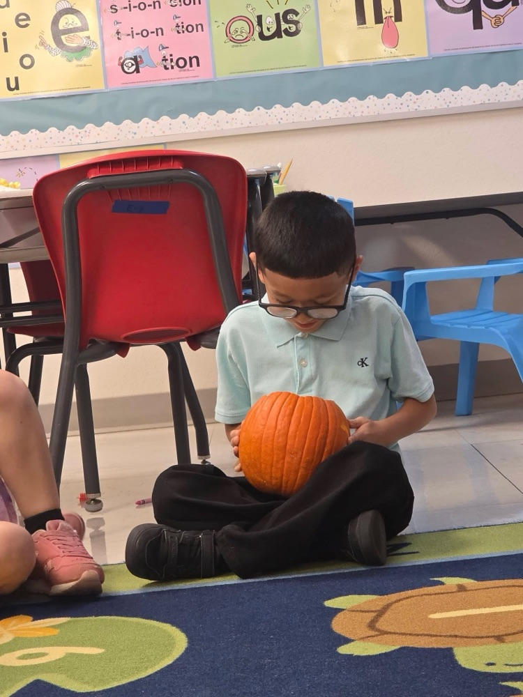pumpkin fun