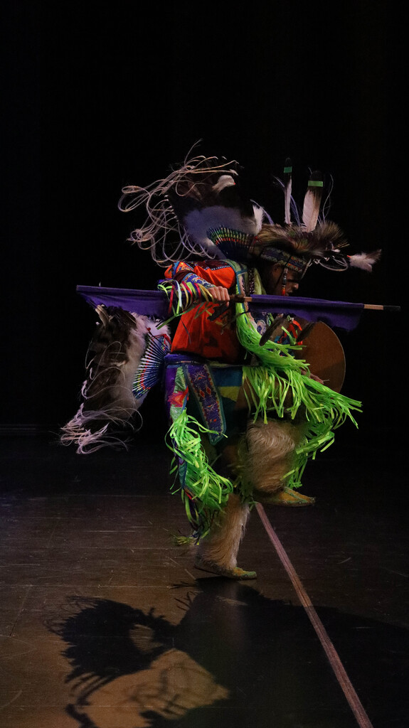 Rising Buffalo dancer performing in colorful traditional regalia.