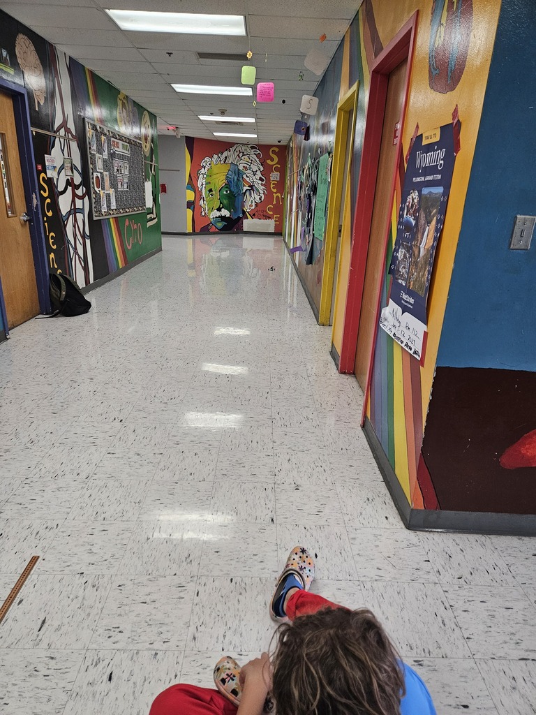 RACING CARS IN SCIENCE