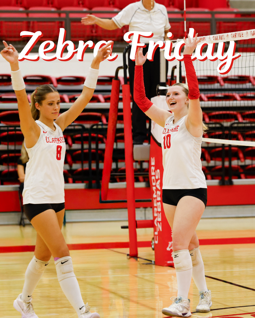 Volleyball players celebrating on Zebra Friday graphic.