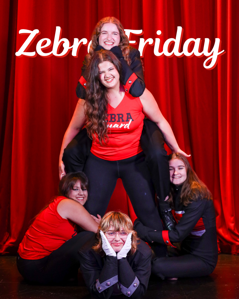 Five band members posing on Zebra Friday graphic.
