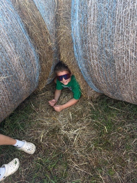 Pumpkin Patch