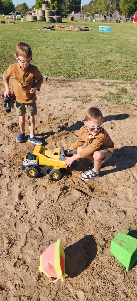 pumpkin patch 