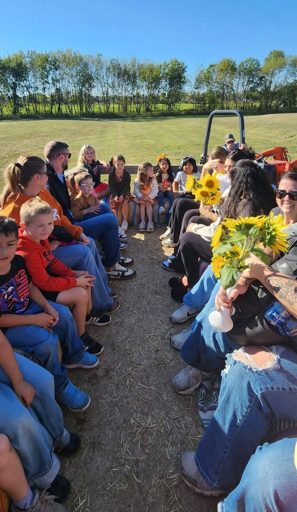 pumpkin patch 