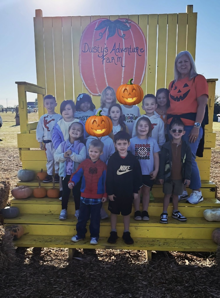 pumpkin patch 