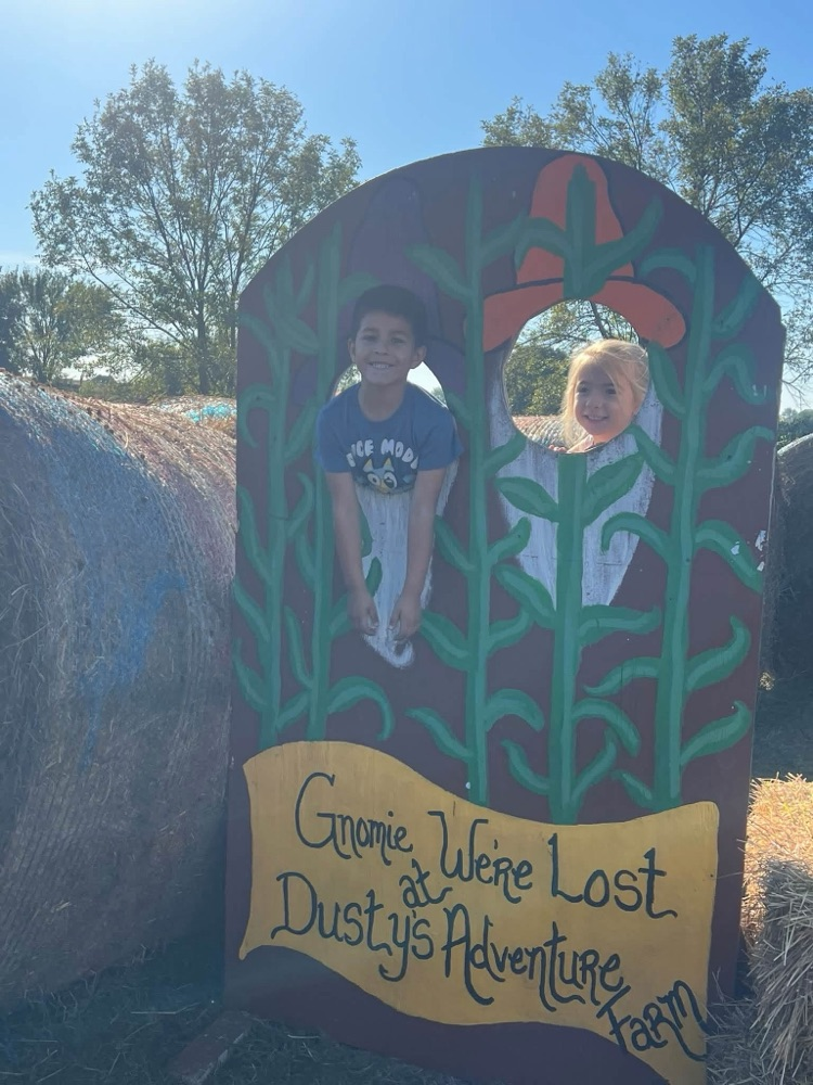 pumpkin patch 