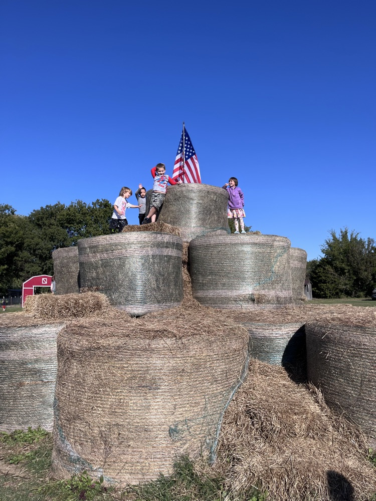 pumpkin patch 