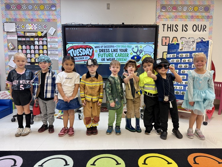 dress as future career