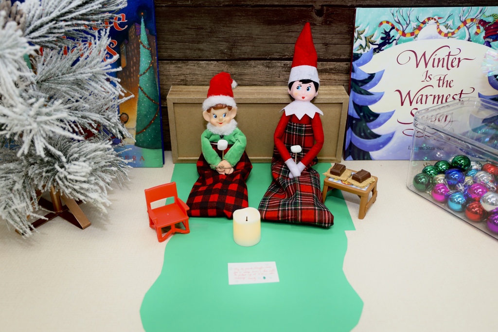 Zebs and Dazzle at Claremont Elementary