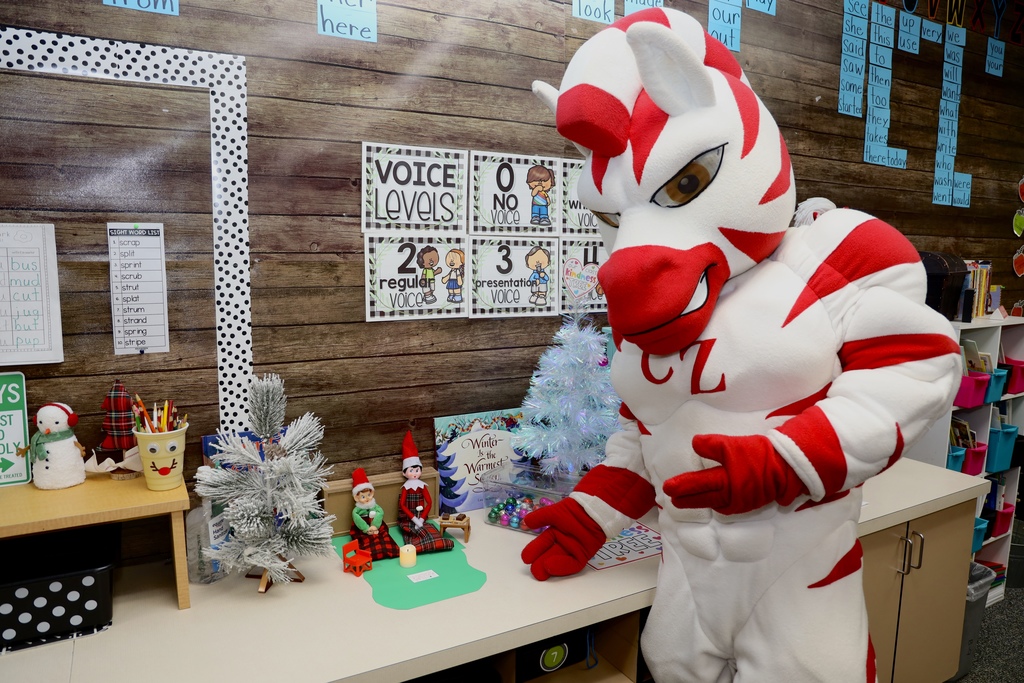 Zebs and Dazzle at Claremont Elementary