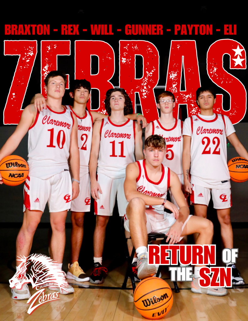 Zebra Basketball Graphic