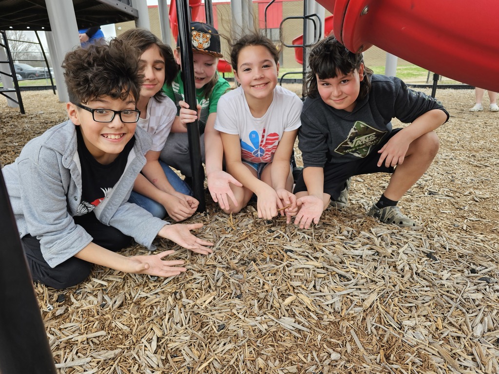 5th graders pointing out and protecting wild bunnies