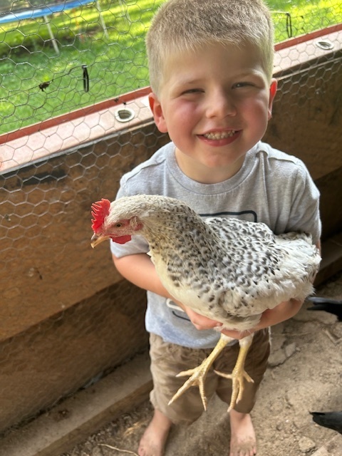 Mrs. Hamilton's son holding a chicken 