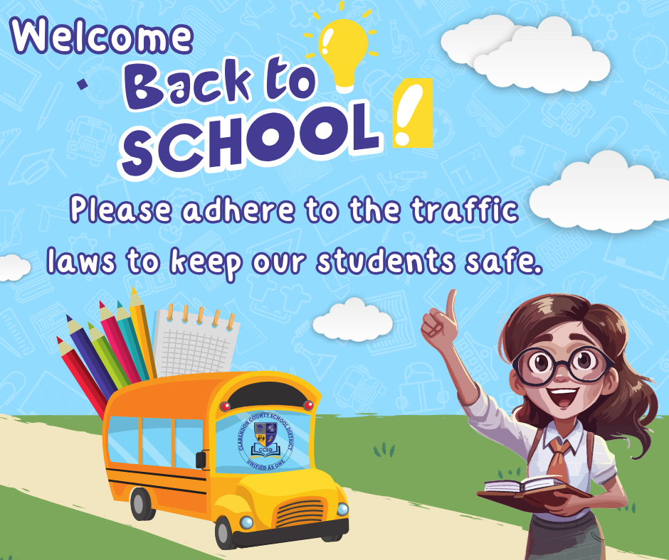 Bus Traffic Safety 2025