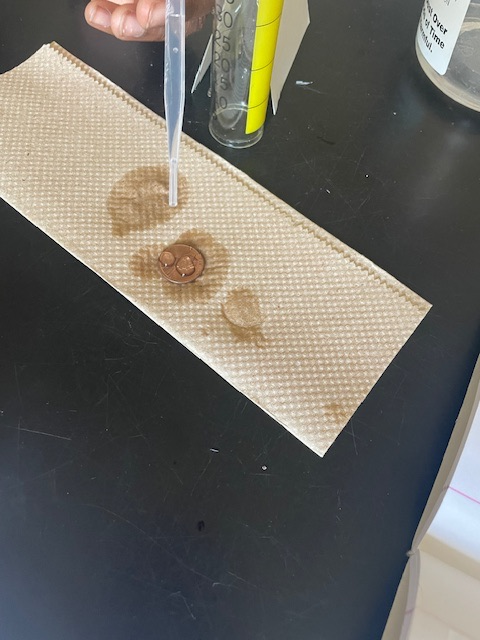 MES PENNY LAB
