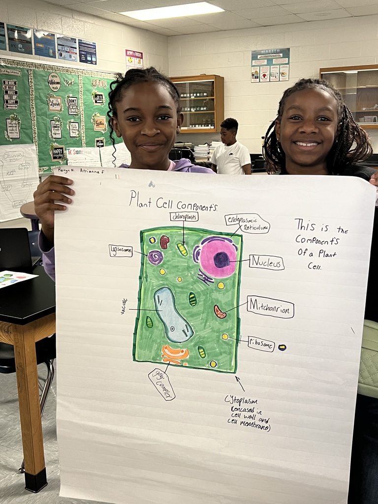 Plant Cell 