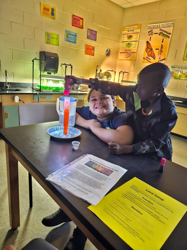 LAVA LAMP EXPERIMENT 