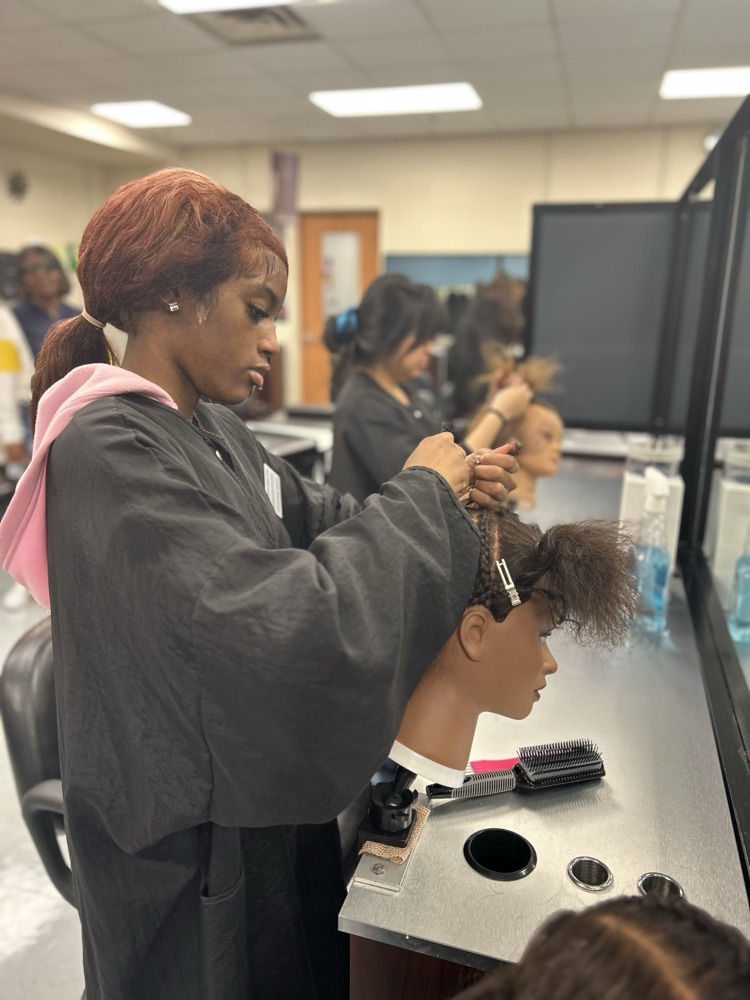 Cosmetology 3 mastering braids
