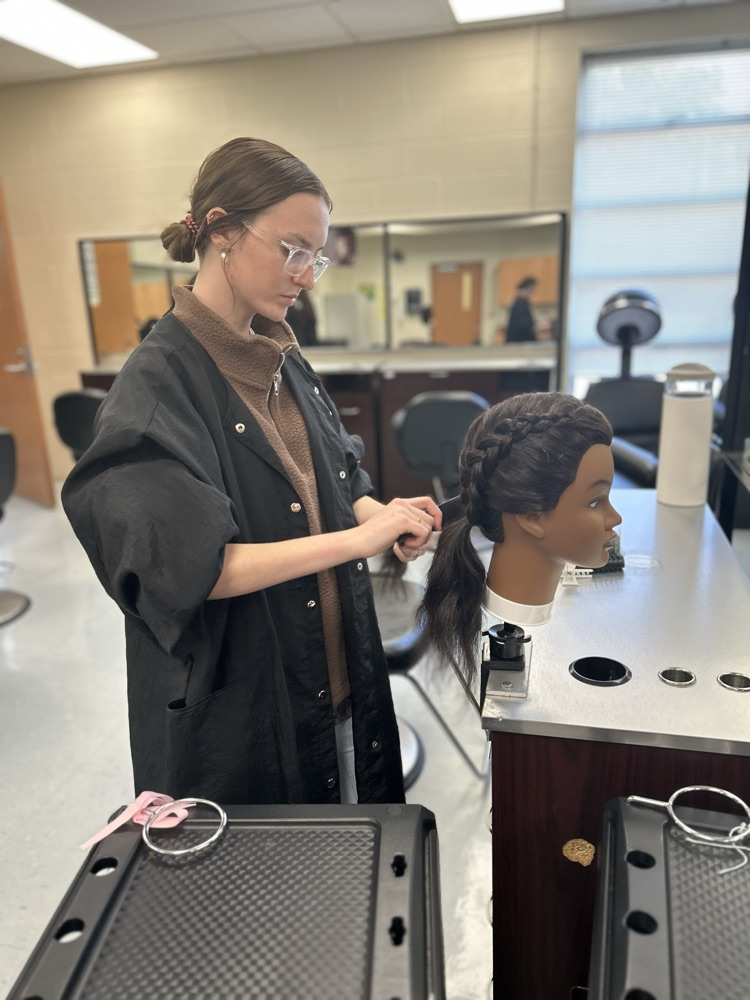 Cosmetology 3 mastering braids