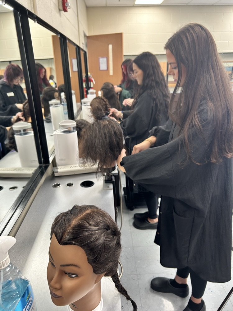 Cosmetology 3 mastering braids