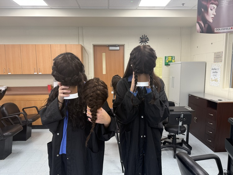 Cosmetology 3 mastering braids