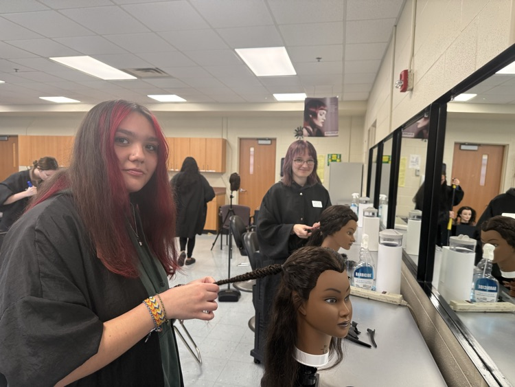 Cosmetology 3 mastering braids