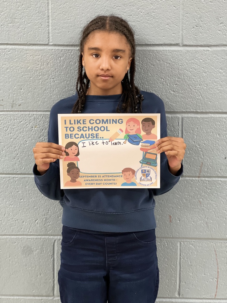 “I like Coming To School Because…”