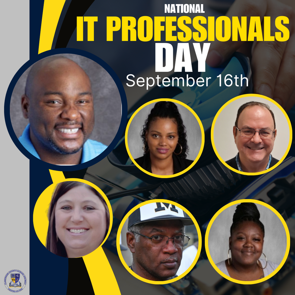 IT Professionals Day