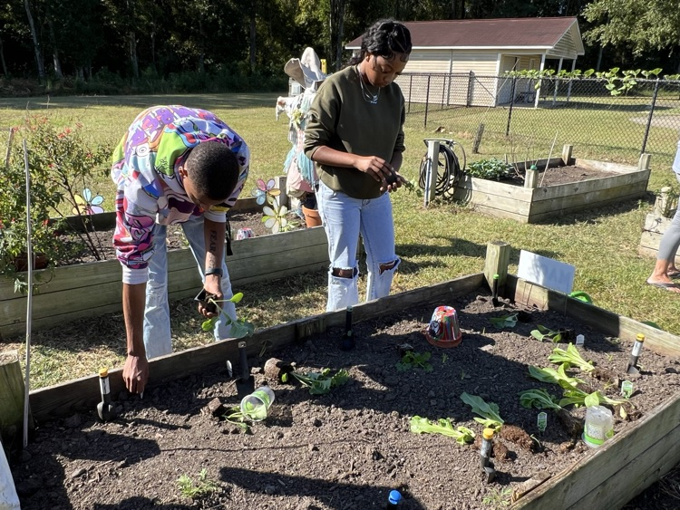 Teach Ag Day 