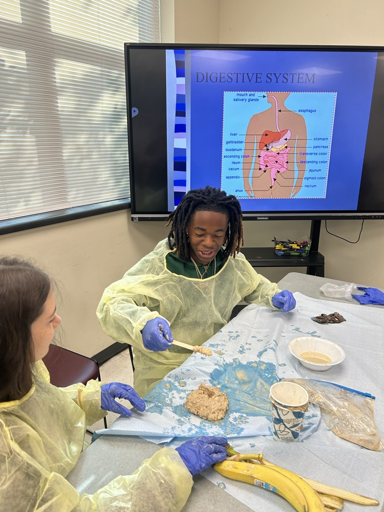Health Science 3 Digestive Systems