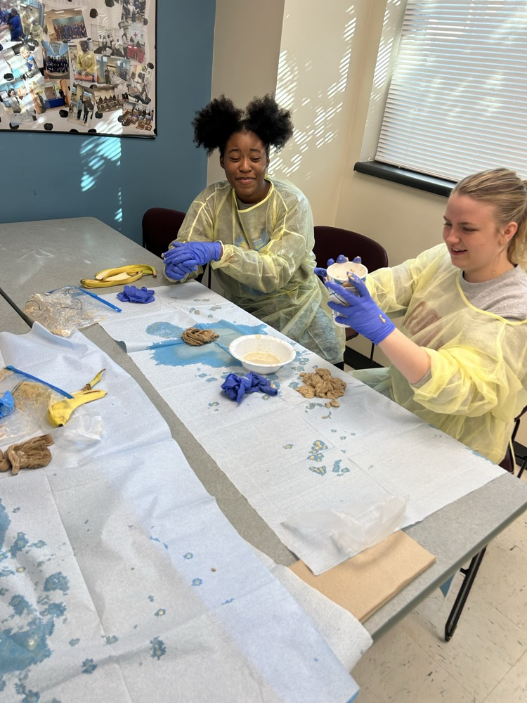 Health Science 3 Digestive Systems