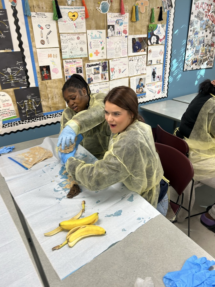 Health Science 3 Digestive Systems
