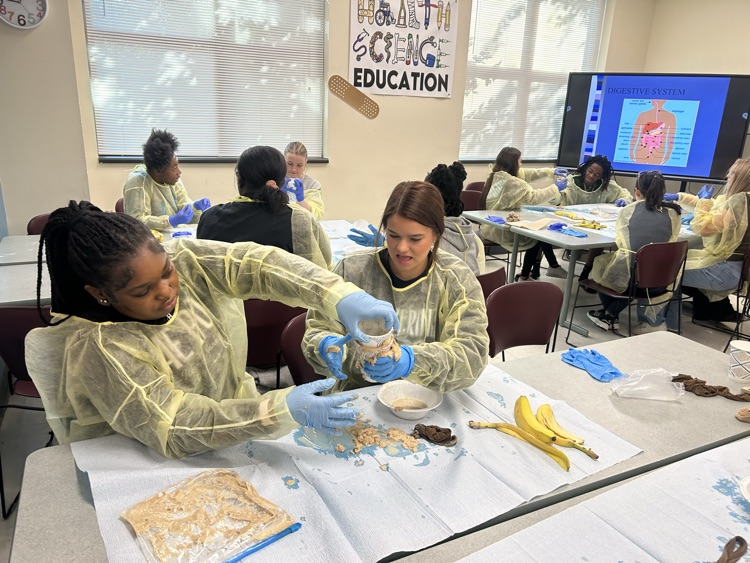 Health Science 3 Digestive Systems