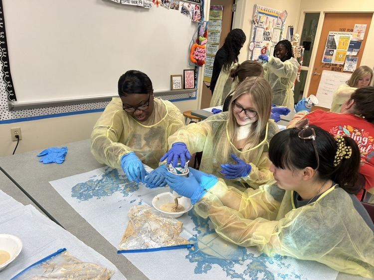 Health Science 3 Digestive Systems